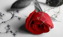 关于思念恋人的句子