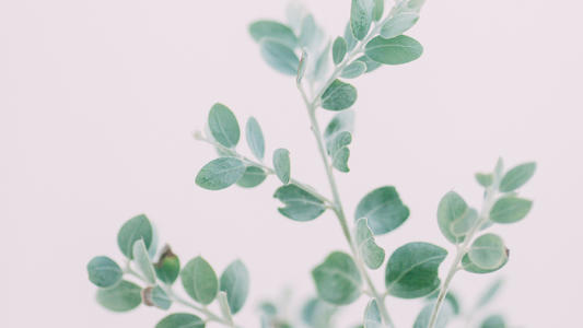 10.一种渴望，一种幸福。有一种幸福，经常关怀；有一种关怀，就是远距离欣赏。并非所有的梦想都能实现。并非所有的单词都有时间讲；并非所有的爱情都有结果。请为爱而珍惜它，等到头发上有雪的痕迹，您就会记得那段美好的时光，怀念着这样的人。这不是一种幸福。