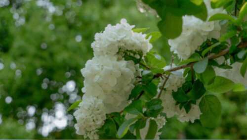 那些说到心坎的文字 4