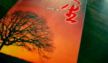 人生不在于成就了多大事业