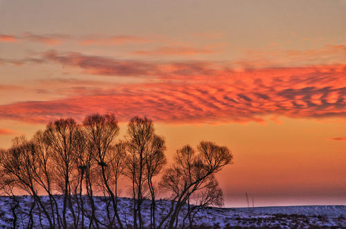 12.他们像两只小鸟一样手拉手奔跑，飞越田野，进入村庄，到达大院。