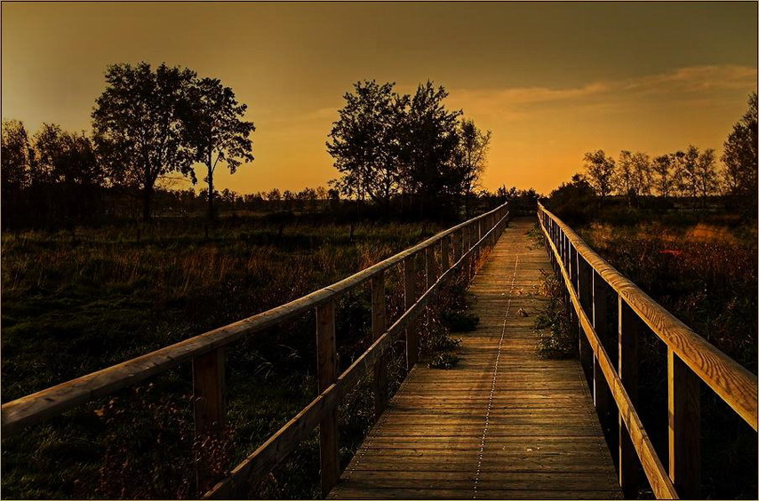 徐志摩唯美爱情诗句