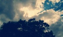 对喜欢的人失望的句子