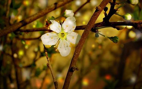 下课了开心的句子 1