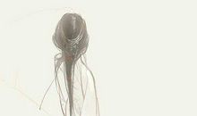 老公出轨了痛到心碎的句子