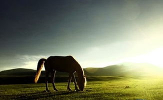 20.要做好工作，必须既非常努力又非常自由。