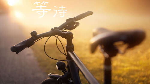 20.四个季节将轮回,等待将寂寞,爱将在深处寂寞,绿色的丝绸将渗透到众生和路人中。