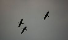 抱负远大的座右铭