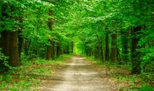 关于春天的诗句