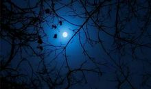 男人成熟的句子