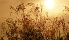 对一切失望的句子