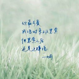 漂亮的句子8个字