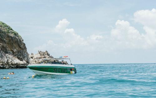 10.小女孩很有才华。儿子不配我。