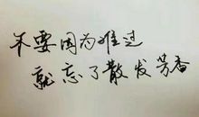 赞美读书的句子