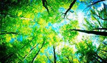 幼儿活动很开心的句子、简单快乐