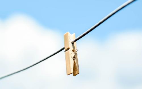 11.那些红玫瑰能永远向往吗