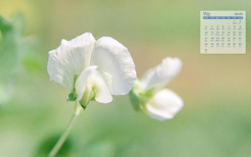 11.有些人可能一生都不能穿得体的衣服和高档豪宅。他们的生活痛苦而累人，但他们认为自己可以给家人更多的保护，他们的内心充满满足和幸福。