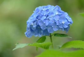 12.永远无法想象母亲会为自己的孩子，疲倦，艰辛甚至生活做些什么……孩子，只要有你，母亲是无所不能且无敌的！