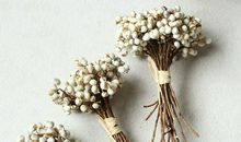 阳光的励志个性签名