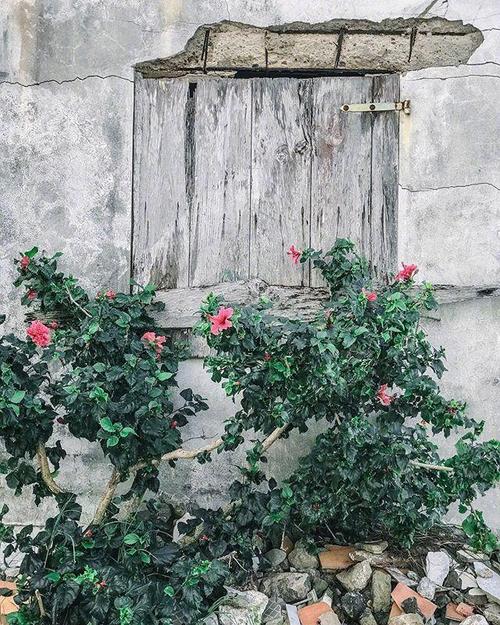 婚后绝望心痛的句子