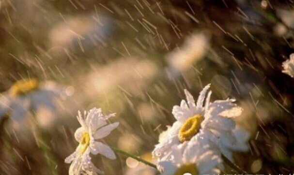 成长是一种经验，成熟是一种经验