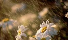 成长是一种经历，成熟是一种阅历