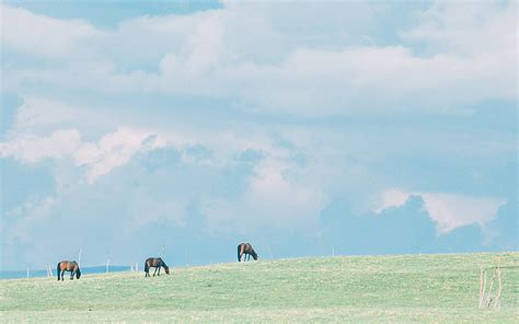 珍惜亲情友谊的句子 1