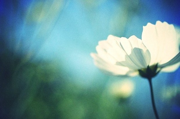 15.世界上只有一种英雄主义，那就是了解和热爱生活的人。 -罗曼·罗兰