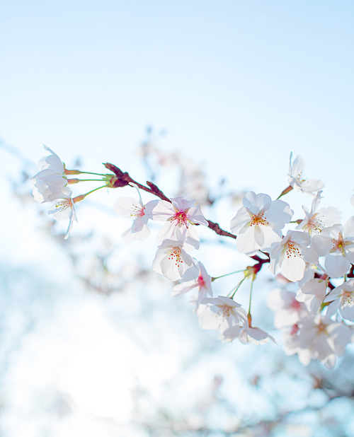 微信说说亲情的句子大全