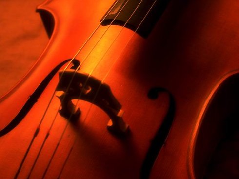 我感到旋律中的悲伤和丝毫冷漠