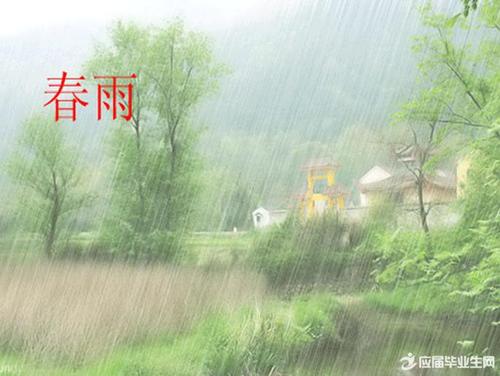 关于春雨的句子