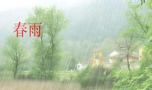 关于春雨的句子