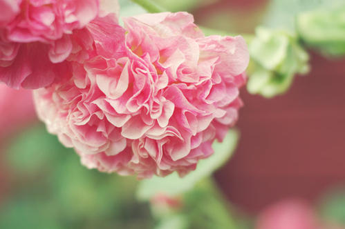 亲情最有哲理的句子