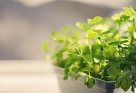 10.人们需要养育家人的感情，友谊和热爱生活。有了这样的感情，您将拥有完美的生活。