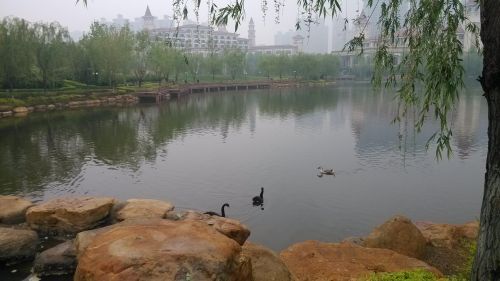 湖还活着,海浪随风而升