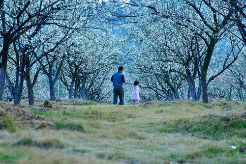 亲情和义气的句子 1