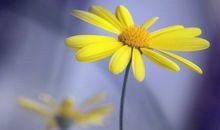 努力向上正能量的句子