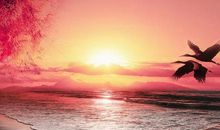 关于开心的句子经典语录 开心精辟短句