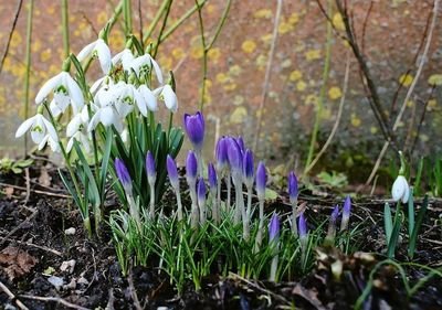 对英语中的爱情句子感到失望