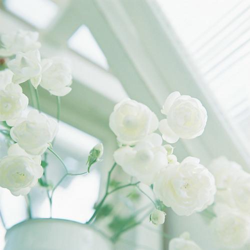 亲情情深的句子简短 2