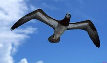 提高团队凝聚力的口号