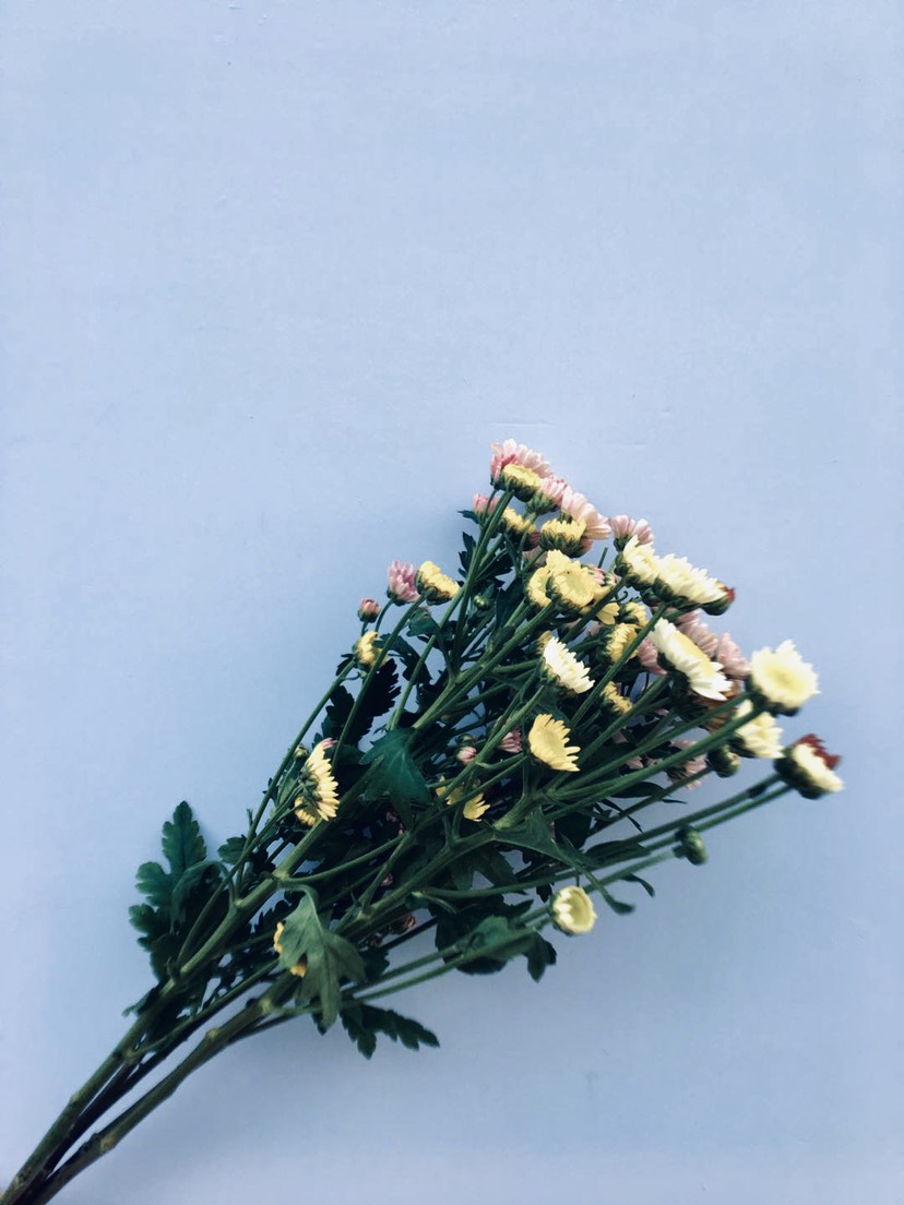 11.我每天都在数着你的微笑，但是当你甚至微笑的时候，你是如此寂寞。他们说你的笑容美丽而无法阻挡。