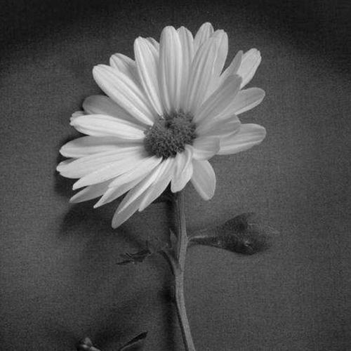 10.最痛苦的距离是你不在你身边,而是在我心中。