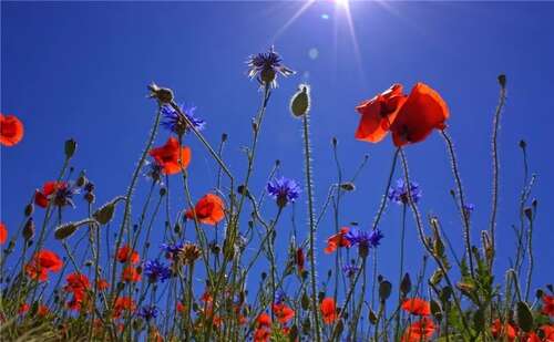 简短而难忘的美丽英语句子1