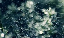 心态好开心的句子 心态好的优美句子