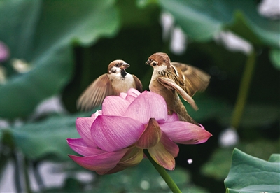 20.完美无瑕的月光在午夜时分会静静而感人，在道路上散发着浓浓的情意，它的声音胜过盛开的花朵，在渴望的间隙中穿行，寻找困在路边的第一个夜晚的颜色。记忆浅滩。