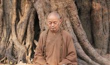 净慧长老禅语50句（四）