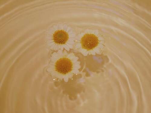 婚姻里超级现实的句子 未婚人士必须清楚的婚姻现实