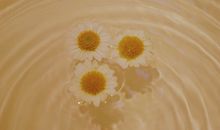 婚姻里超级现实的句子 未婚人士必须清楚的婚姻现实