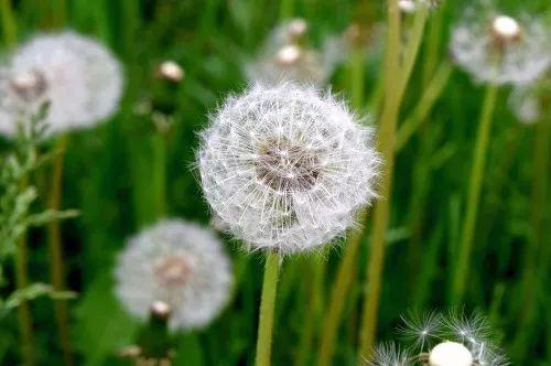 关于健康的句子1